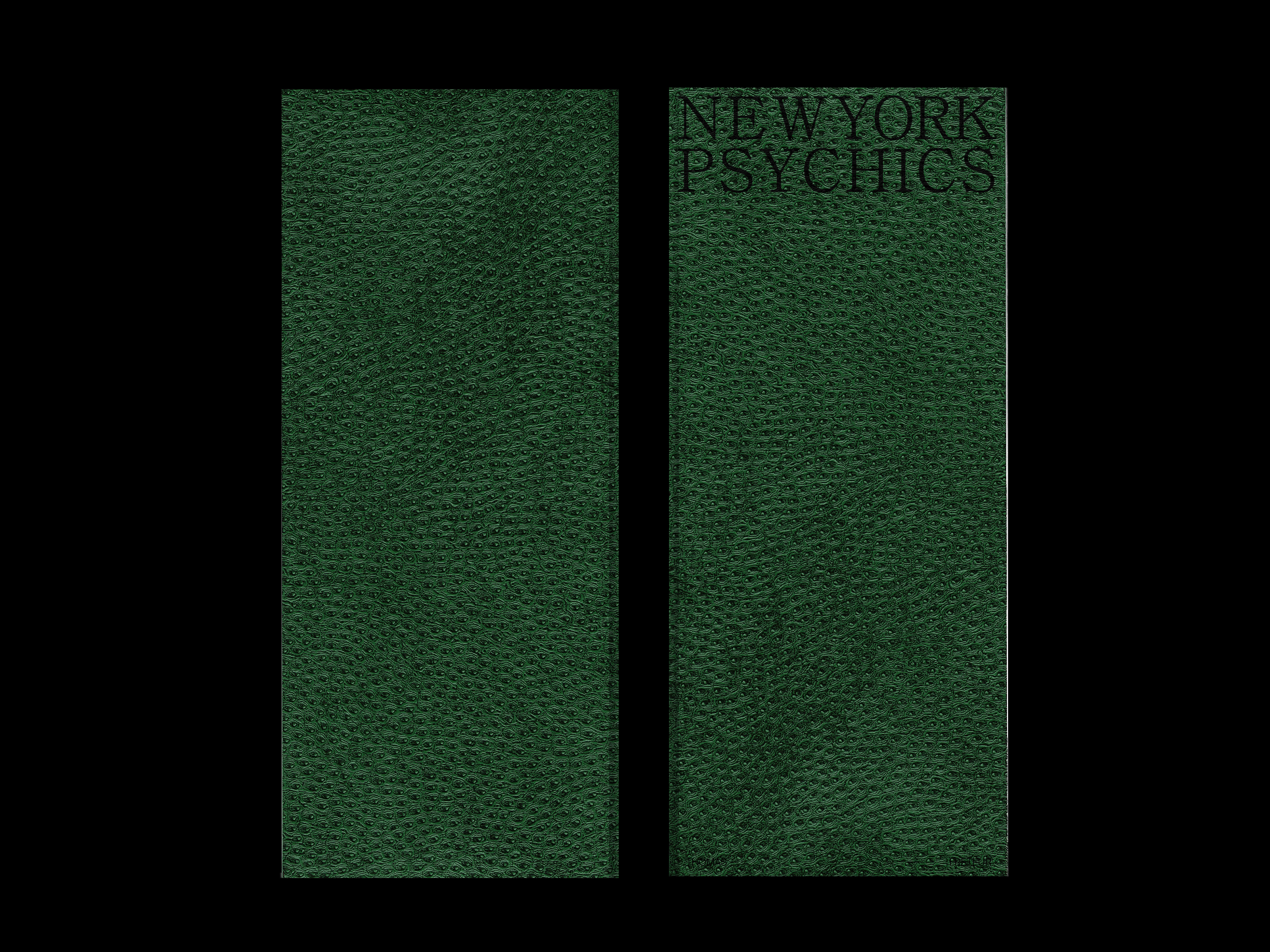 https://www.julienbaiamonte.com/content/1-projects/new-york-psychics/nyc_psychics_scan002_baiamonte_251019.png.png